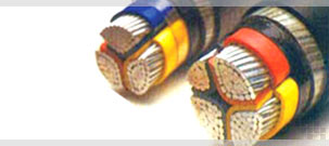 Manufacturer & Exporter of Cables, Wires & PVC Conduct Pipes.